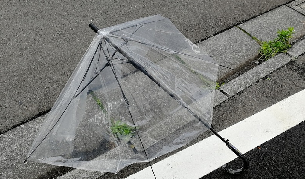 ごみさん【25】 レポート