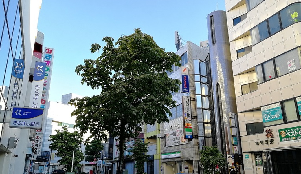 ごみさん【31】 レポート