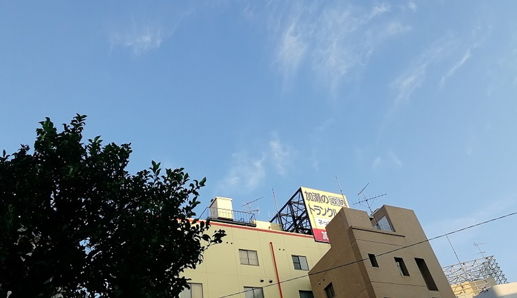 ごみさん【33】 レポート