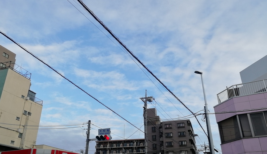 ごみさん【39】 レポート