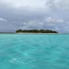 EARTH  KIDNEYs プロフィール