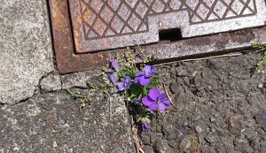 少しの時間で… アイキャッチ