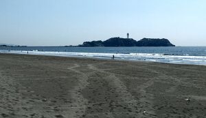 Team THY　鵠沼海岸　清掃活動 アイキャッチ