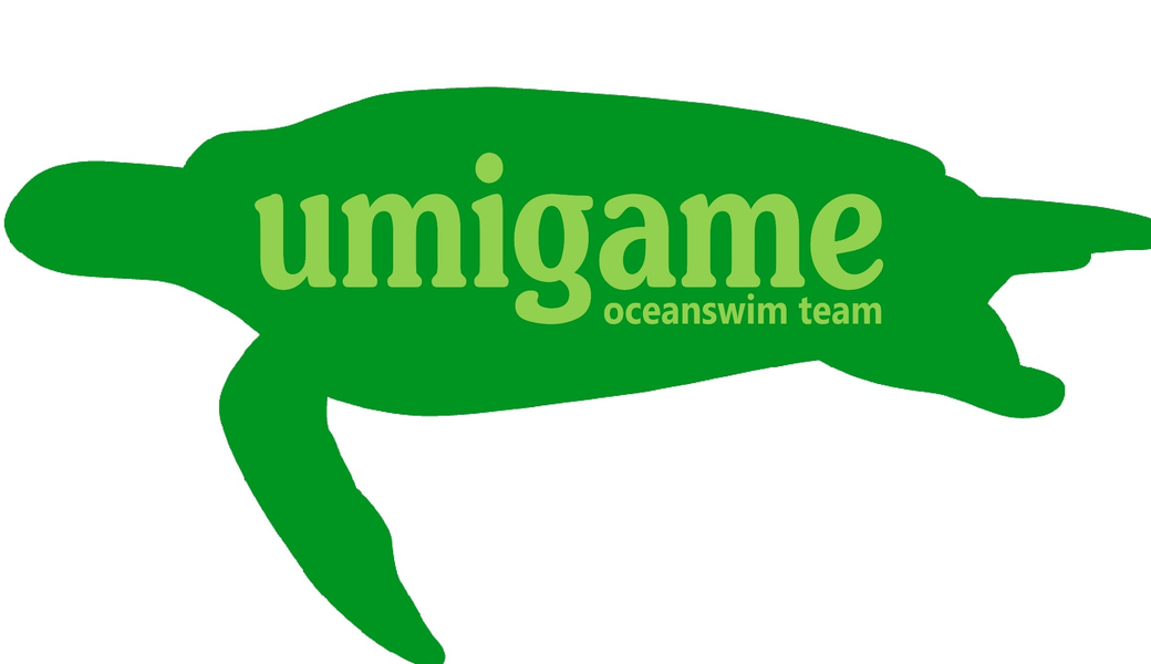 プロギング アイキャッチ