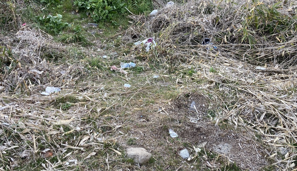 ゴミ拾い＠甘地福崎線 アイキャッチ