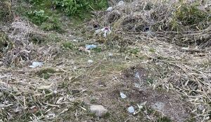 ゴミ拾い＠甘地福崎線 アイキャッチ