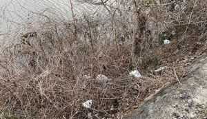 ゴミ拾い＠甘地福崎線 アイキャッチ