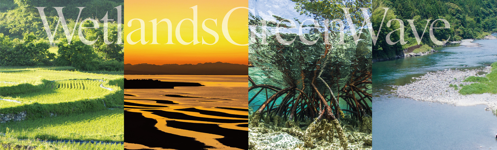 ラムサール・ネットワーク日本　湿地のグリーンウェイブチーム カバー