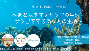 サンゴ×防災×エシカル～あなたを守るサンゴの生活、 ... アイキャッチ