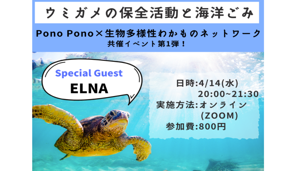 ウミガメの保全活動と海洋ごみ アイキャッチ