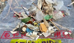 茅ケ崎ビーチクリーン アイキャッチ