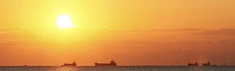 MURASAKI SPORTS Sendainagamachi カバー