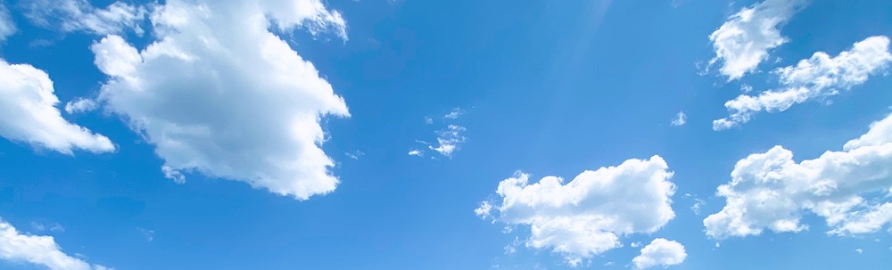 Sea Turtles21 カバー