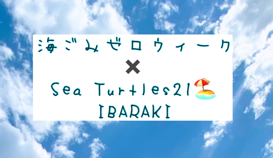Sea Turtles21 アイキャッチ