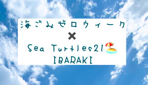 Sea Turtles21 アイキャッチ