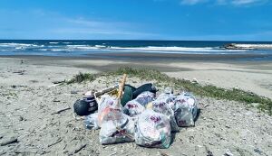 Sea Turtles21 アイキャッチ