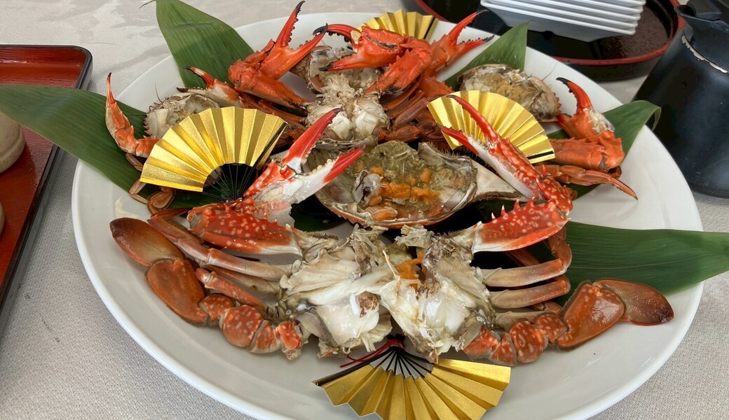 ふくポケ　原釜尾浜海水浴場周辺ゴミ拾い（原釜幼稚園） アイキャッチ