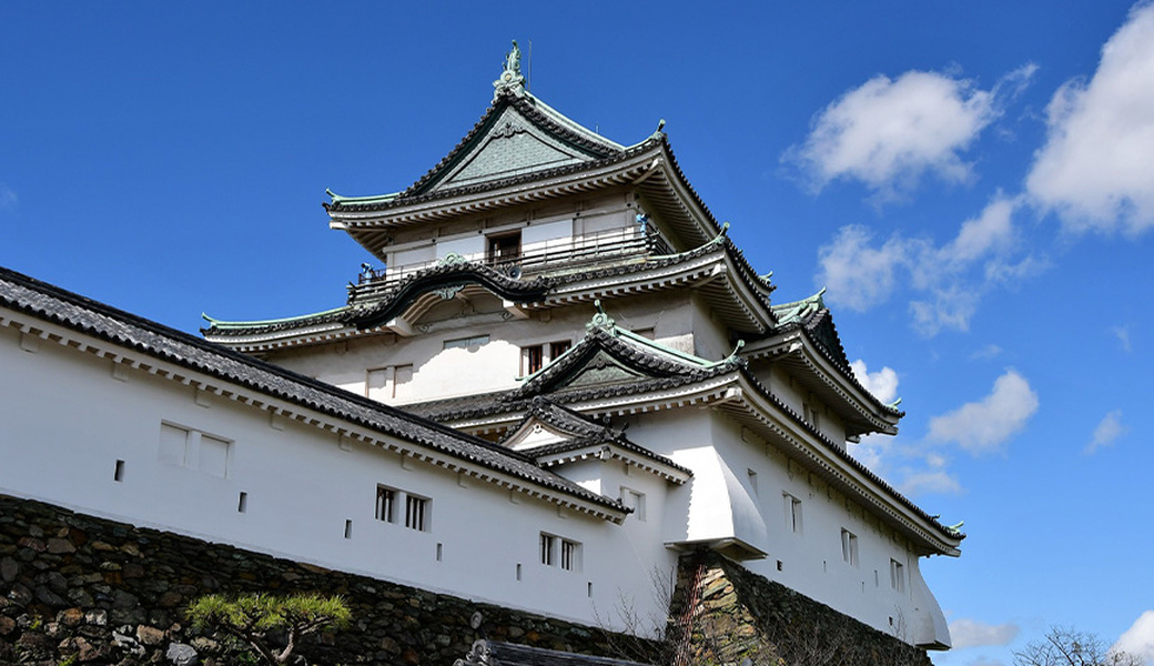 天理教全教一斉ひのきしんデー和歌山城会場 アイキャッチ