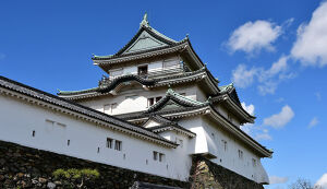 天理教全教一斉ひのきしんデー和歌山城会場 アイキャッチ