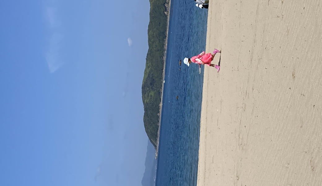 2023,5,3 ビーチクリーン加太天理イン加太海岸 レポート