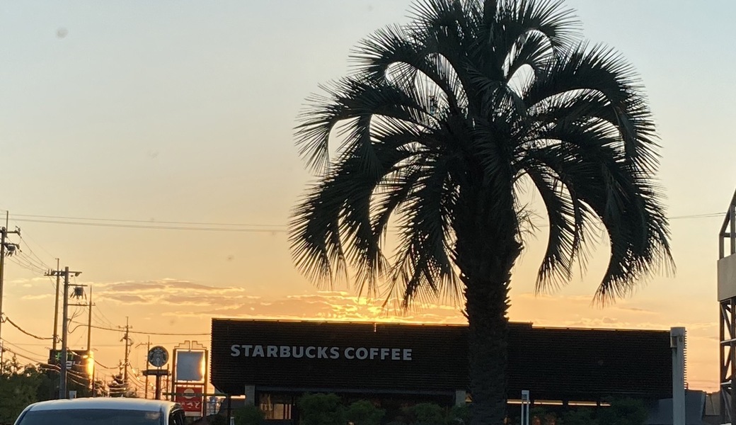 ビーチクリーン加太天理　サイクリングロード レポート