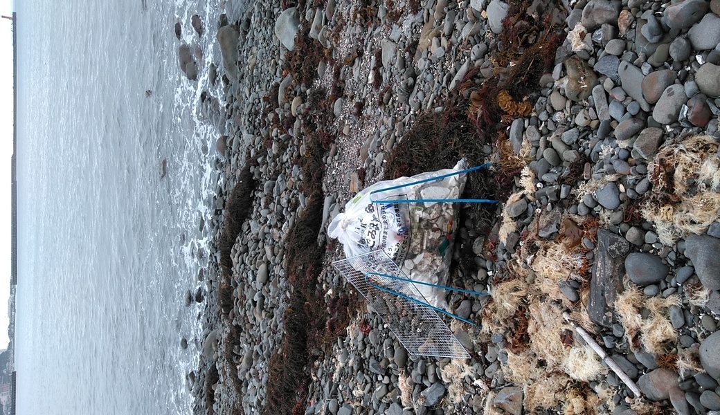 ビーチクリーン加太天理　加太海岸磯場 レポート