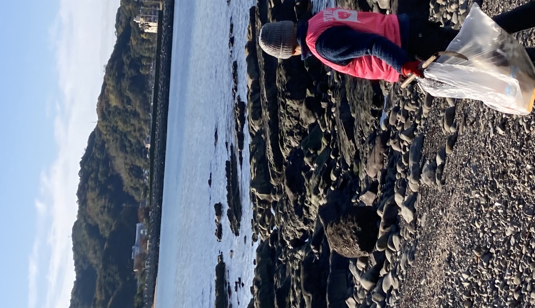 ビーチクリーン加太天理イン加太海岸 レポート