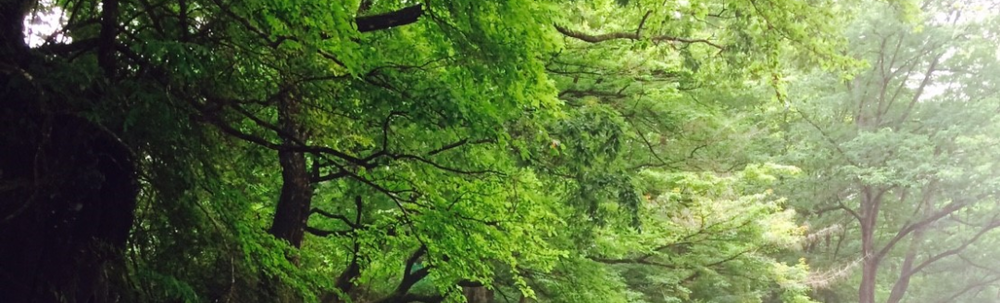 ふくポケ Nature★ カバー