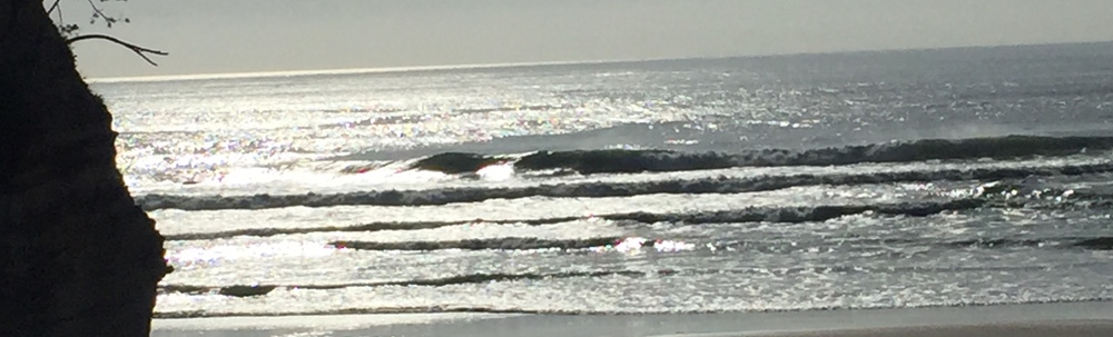 ふくポケいわき大好き隊 カバー