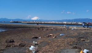 江ノ島海岸美化ボランティア募集 アイキャッチ