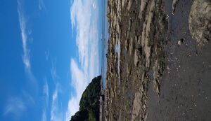 江の島海岸清掃ボランティア募集 アイキャッチ