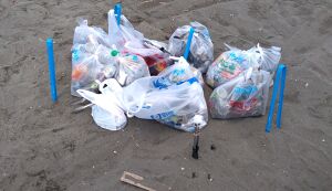 江の島海岸清掃ボランティア募集 アイキャッチ