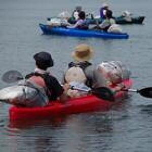 アイランドストリームプロフィール