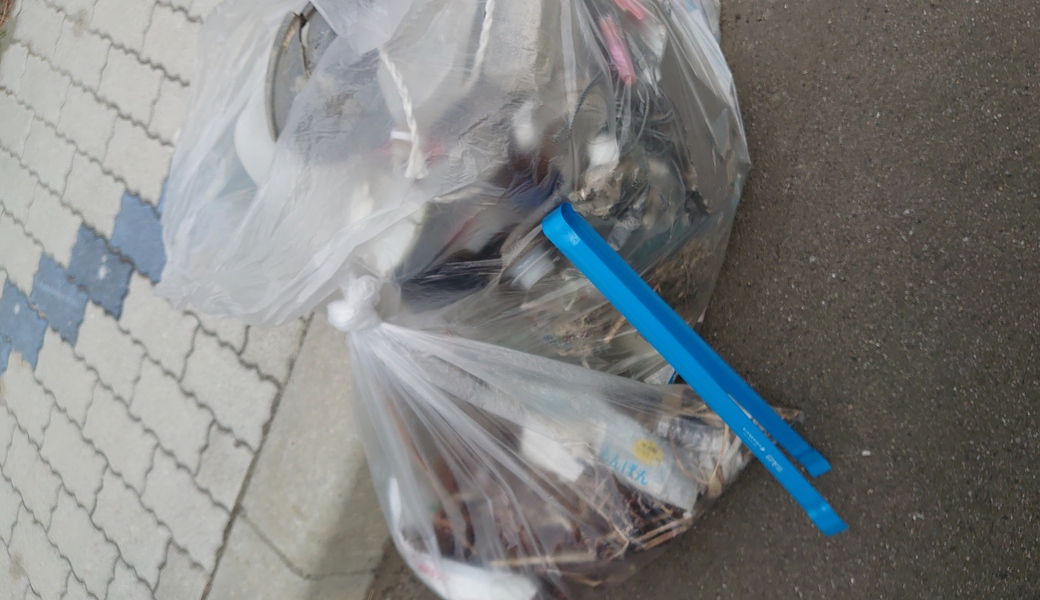 夕方ごみ拾い レポート