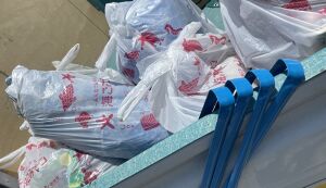 昨日に引き続き気ままにゴミ拾い！ アイキャッチ