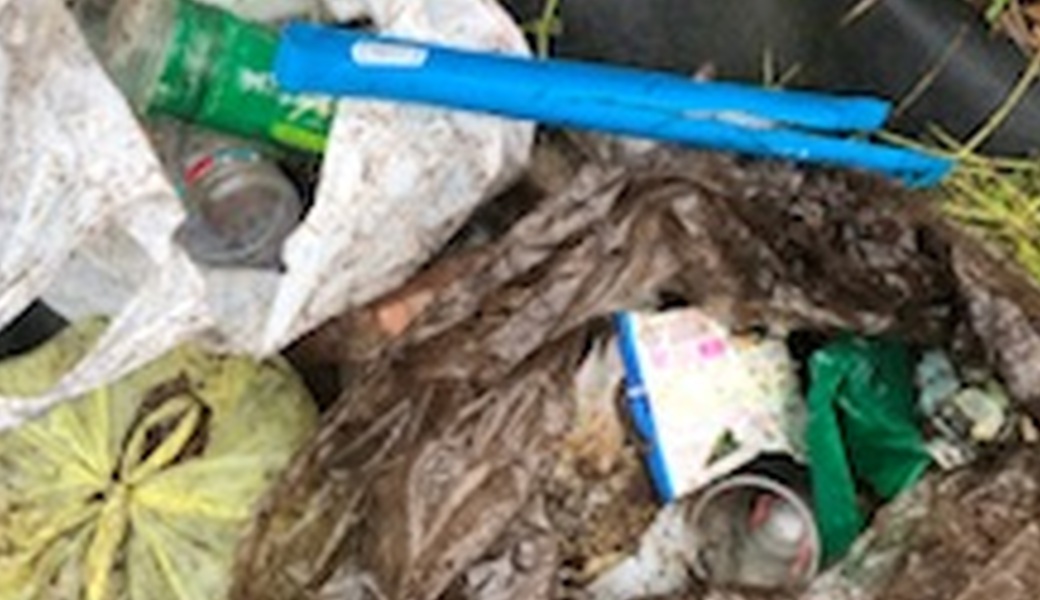 第45回柏尾川ファンクラブ美化活動 レポート