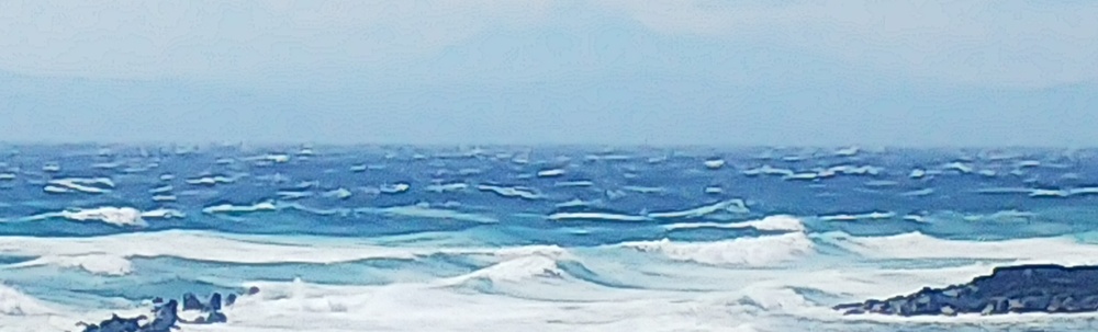 シーホース 海を守り隊 カバー