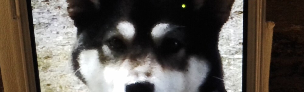 ふくポケチーム旗持ちピリジャー カバー