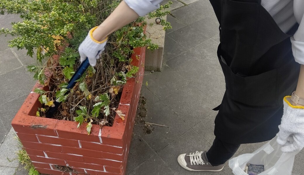 2025年6月　弘前　ごみ拾い隊 レポート