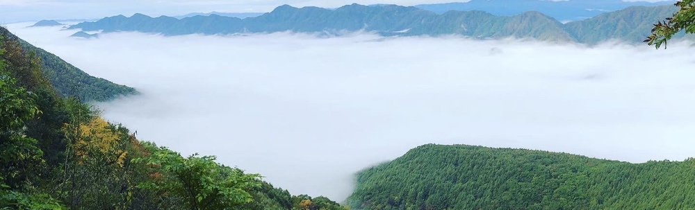 遠山郷グリーンライン カバー