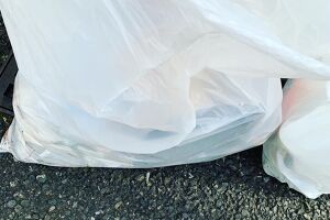 多摩川でゴミ拾いしました アイキャッチ