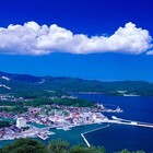 ル研究室 プロフィール