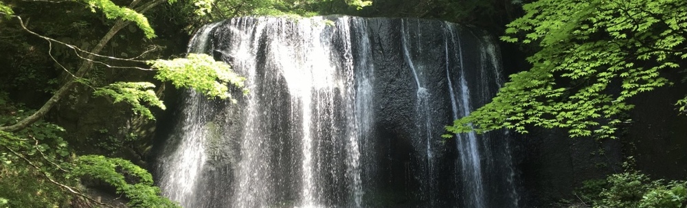 ふくポケ・たいが〜s カバー