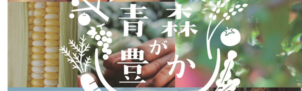 特定非営利活動法人SEEDS NETWORK カバー