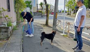 暴風雨の翌朝 悟空とともに アイキャッチ