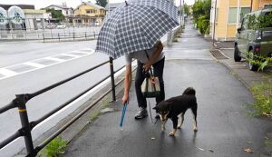 ゴミ拾い 悟空の散歩 アイキャッチ