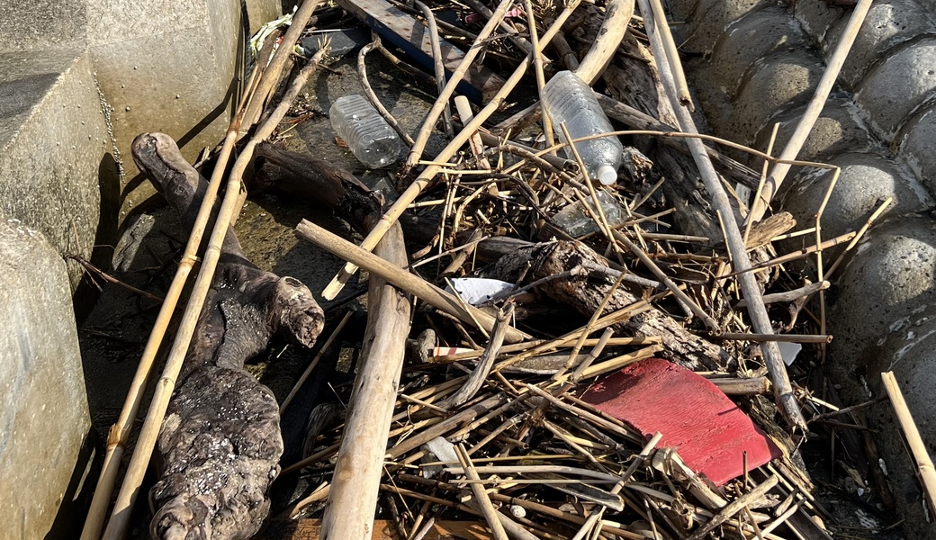 いこいポイントビーチクリーン アイキャッチ