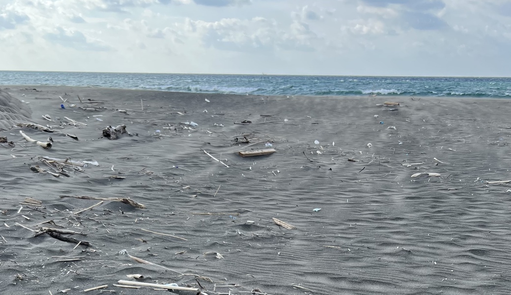 平砂浦アロハガーデン下 アイキャッチ