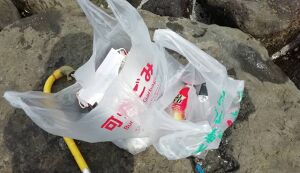 ふくポケ「こどもsdgs 第6回・ゆるくてOK★こ ... アイキャッチ