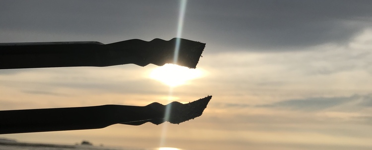 海ごみなくし隊 カバー